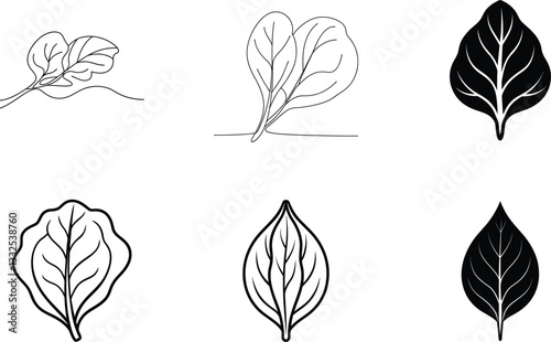 Spinach Leaf Illustrations Line Art, Silhouette, and Variations