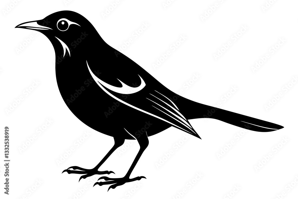 thrush bird line art silhouette vector illustration