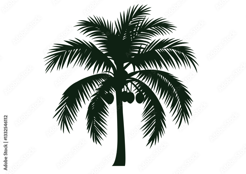 Obraz premium Coconut Palm Tree with Hanging Coconuts