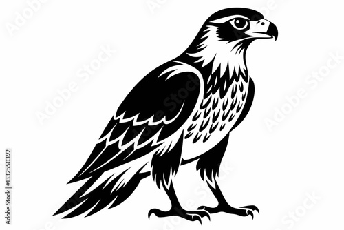 buzzard bird line art silhouette vector illustration