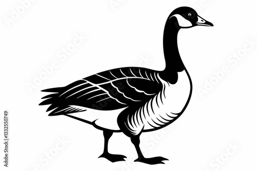 canada goose line art silhouette vector illustration