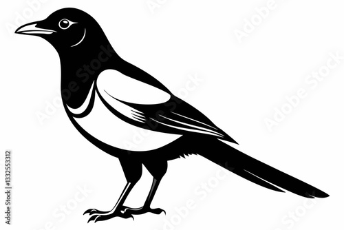 magpie line art silhouette vector illustration