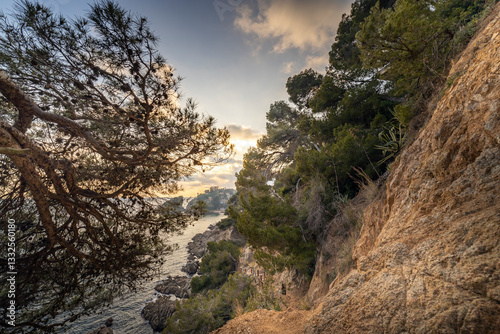 A rocky cliff with trees and a body of water in the background