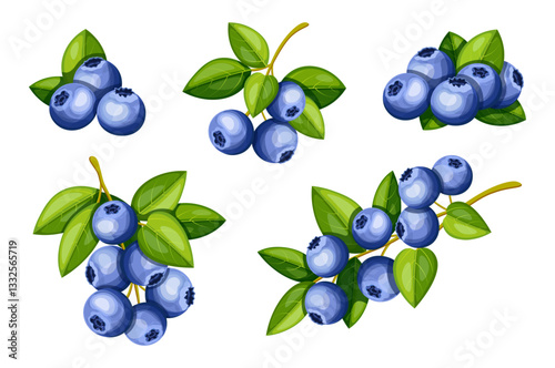 Set of delicious, fresh blueberries in cartoon style. Vector illustration of a bunch of blueberries, a branch with berries, green leaves isolated on a white background. Healthy snacks.Vitamin berries.