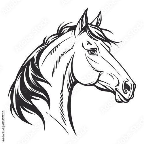 black horse vector illustration