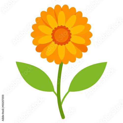 calendula flowers vector icon with white background