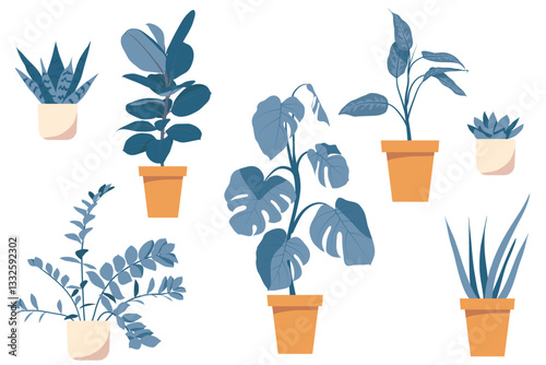 Home flowers of sansevieria, monstera, ficus elasticus, diffenbachia, aloe, Zamiokulkas, Echeveria.
