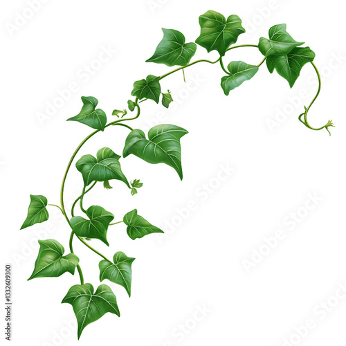 Fresh green leaves and plant foliage isolated on a clean white background
