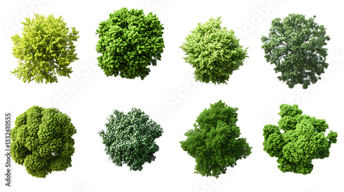 Cutout top view tree set landscaping on transparent background, high resolution PNG file