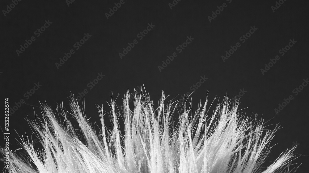 Obraz premium The photo shows light hair close-up on a dark gray background