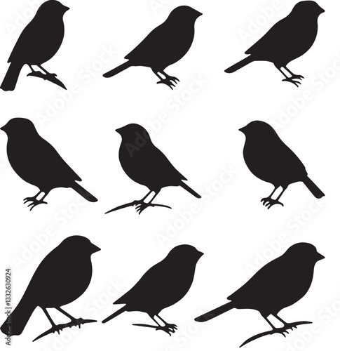 Wallpaper Mural Bird vector, bird, animal, sparrow, feather, flying, animals, wildlife, wild, wing, duck vector set Torontodigital.ca