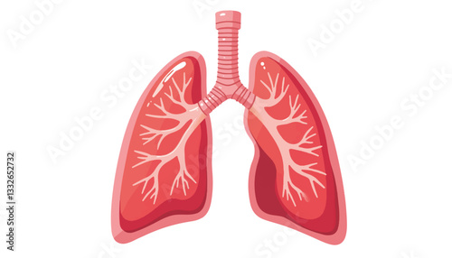 Healthy lungs illustration with clear bronchi and alveoli, anatomical insight