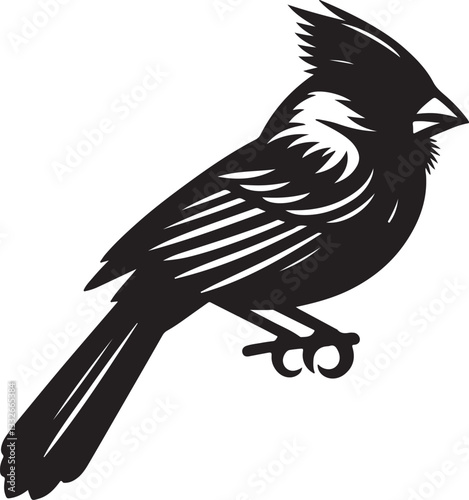 vector illustration of a bird