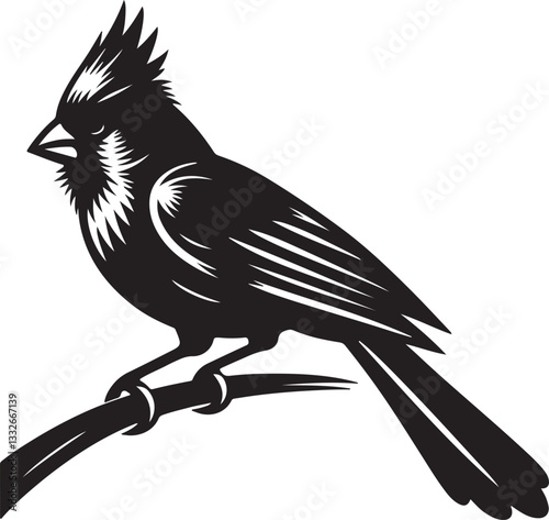 Cardinal Silhouette Vector Illustration