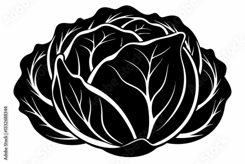 cabbage line art silhouette vector illustration