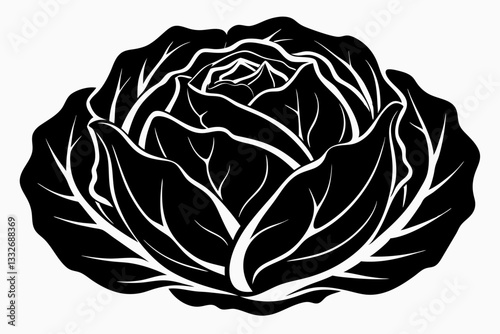 cabbage line art silhouette vector illustration