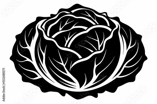 cabbage line art silhouette vector illustration