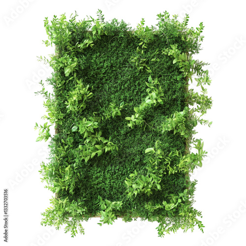 Lush green vertical garden wall vibrant life tranquil nature
