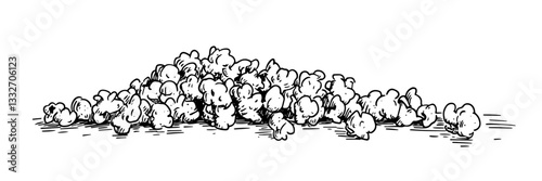 pile of popcorn kernels, hand drawn vintage engraving vector