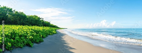 Serene Coastal View with Lush Greenery and Calm Blue Waters