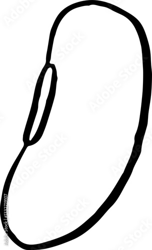 Beans. Vegetables. Hand drawn vector isolated sketch.