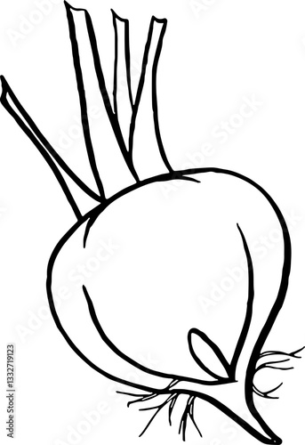 Beetroot. Vegetables. Hand drawn vector isolated sketch.