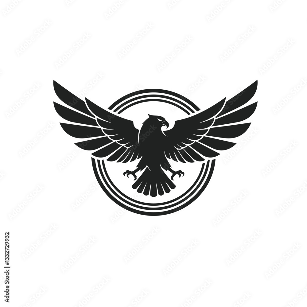 Obraz premium eagle with wings