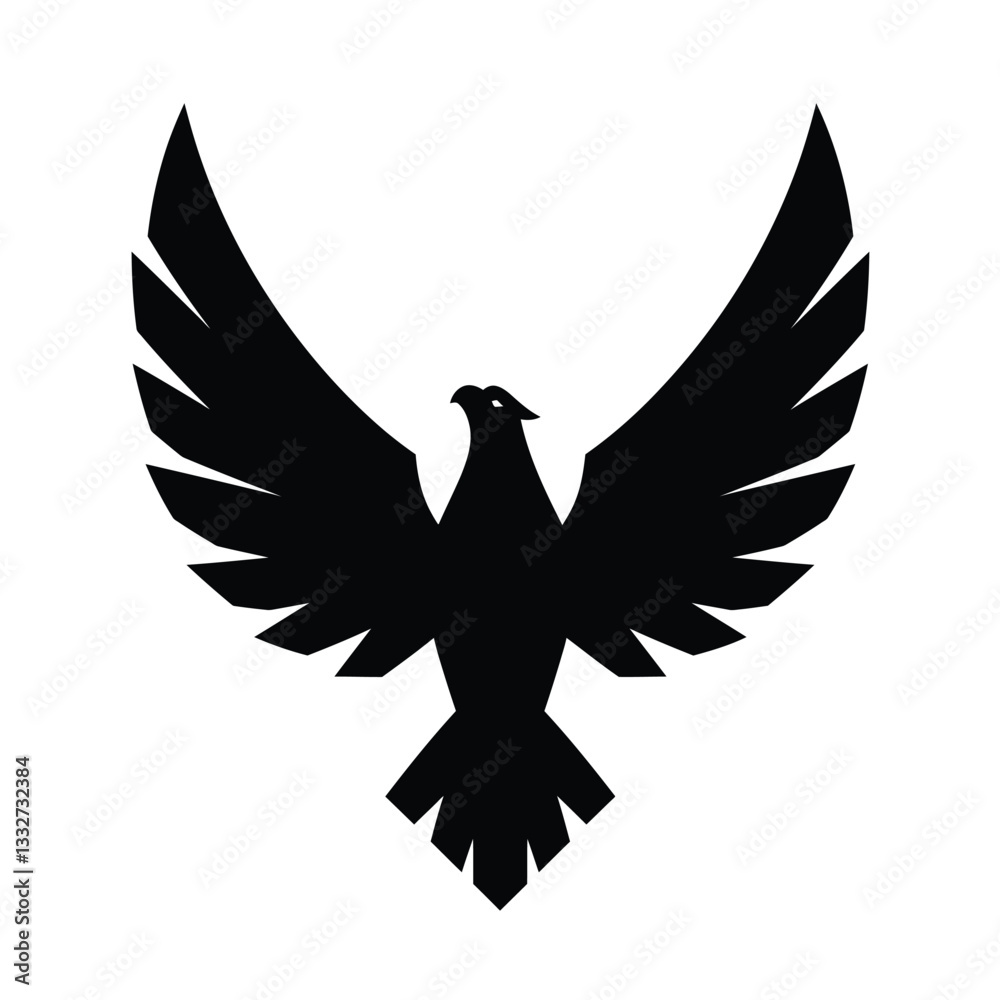 Obraz premium eagle with wings