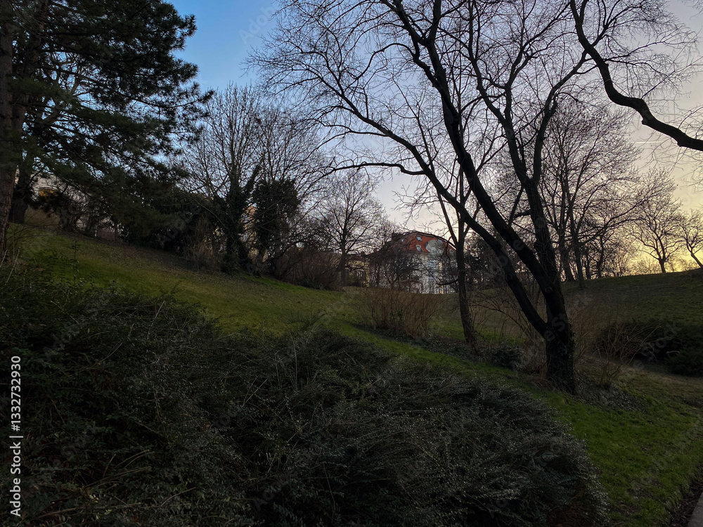Quiet evening landscape with a house nestled among bare trees and green hillside in a tranquil park setting Quiet evening landscape with a house nestled among bare trees and green hillside in a tranquil park setting