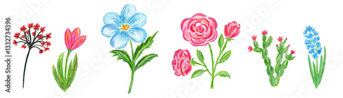 Set of flowers, hand-drawn colored pencils. Field, meadow, garden, different bright flowers, branches. Watercolor floral drawing