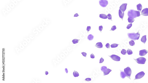 Flying purple rose petals realistic for wedding invitation, Valentine or Mother Day card