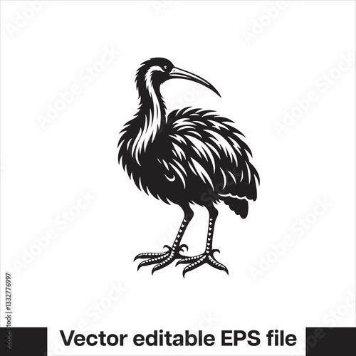 vector  Swamphen black and white, silhouette, logo and t-shirt