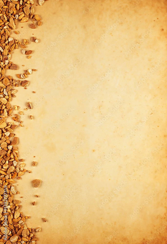 Textured antique paper with scattered micro particles, historical imagery Textured antique paper with scattered micro particles, historical imagery