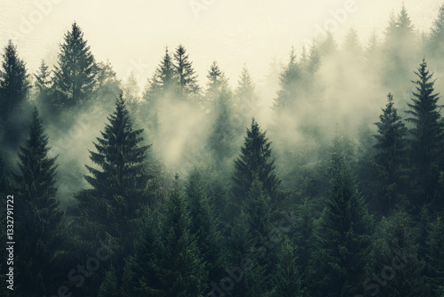Misty landscape with mountains and dark moody fir forest in hipster vintage retro style