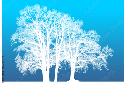árbol, cielo, naturaleza, silueta, sucursal, de invierno, atardecer, árbol, bosque, calvos, paisaje