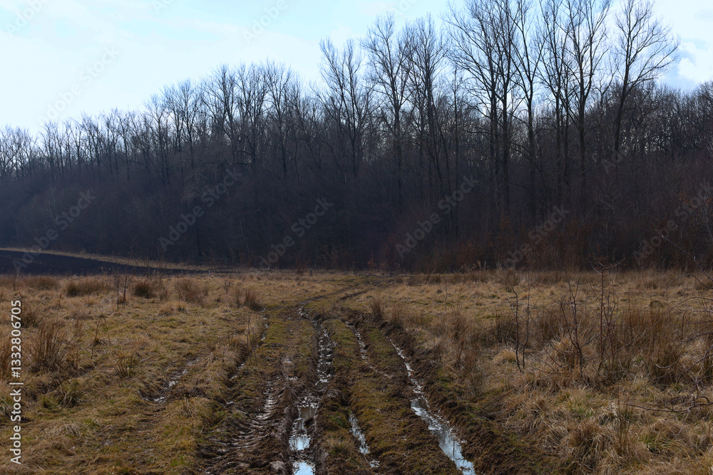 The photograph shows a landscape of a field with a road leading to a forest. The road has tire tracks, and puddles are visible on the ground. The field is covered with dry grass. The forest in the bac The photograph shows a landscape of a field with a road leading to a forest. The road has tire tracks, and puddles are visible on the ground. The field is covered with dry grass. The forest in the bac