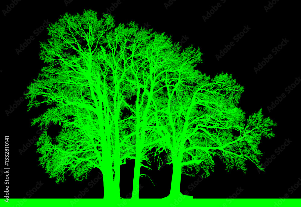 Obraz premium árbol, cielo, naturaleza, silueta, sucursal, de invierno, atardecer, árbol, bosque, calvos, paisaje
