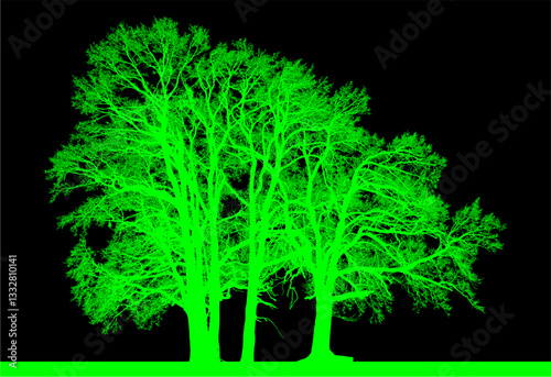 árbol, cielo, naturaleza, silueta, sucursal, de invierno, atardecer, árbol, bosque, calvos, paisaje