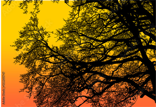 árbol, cielo, naturaleza, silueta, sucursal, de invierno, atardecer, árbol, bosque, calvos, paisaje