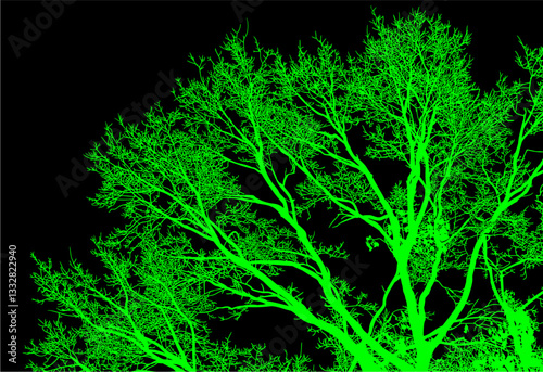 árbol, cielo, naturaleza, silueta, sucursal, de invierno, atardecer, árbol, bosque, calvos, paisaje