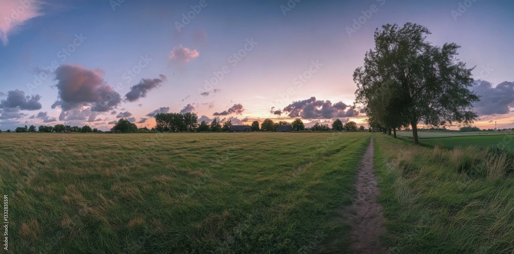Obraz premium Beautiful summer landscape with sunset, a golden wheat field, and green grass along the road