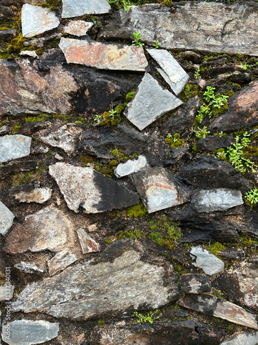 Old wall of irregularly shaped stones with moss and lichens and lots of texture.