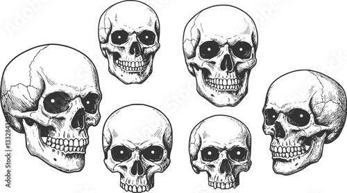 White graphic human skull with black eyes set
