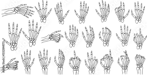 Graphic detailed black and white human skeleton bone hands. Isolated on white background. Vector icon set.
