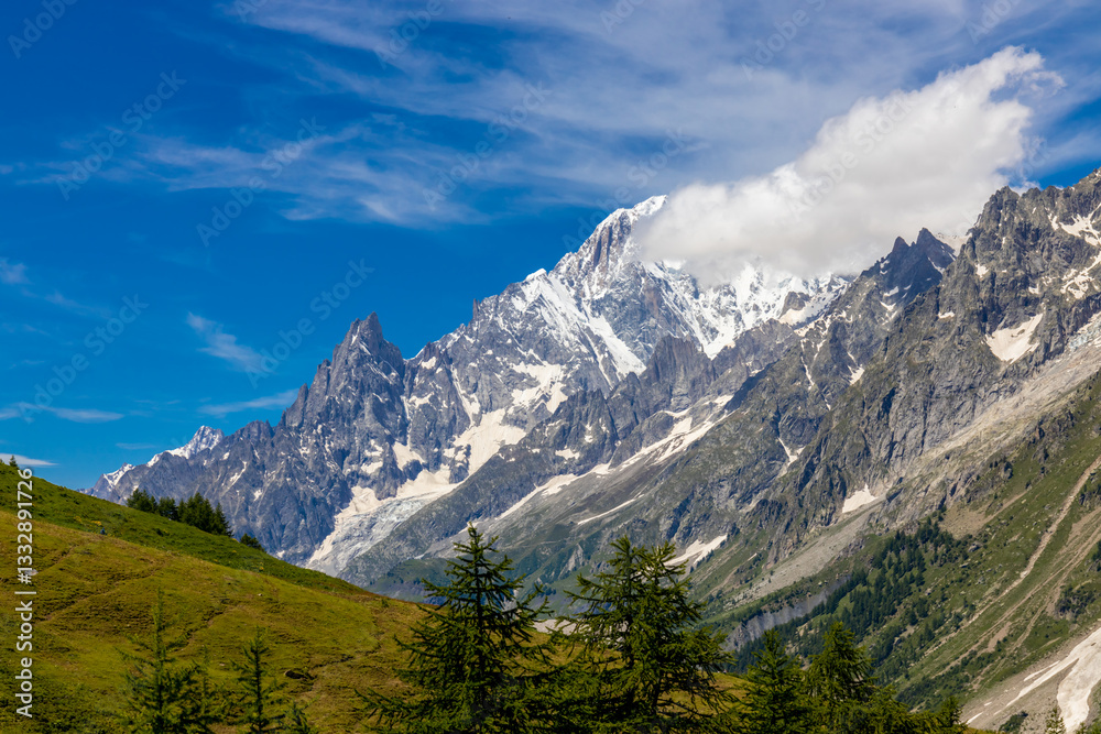Fototapeta premium Beautiful mountain landscape of the Alps in summer on tour du Montblanc area near Courmayeur village in Val Ferret valley in Italy. European Alps stunning views of green valley with colorful flowers