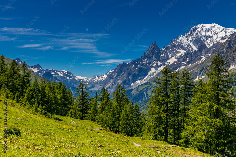 Fototapeta premium Beautiful mountain landscape of the Alps in summer on tour du Montblanc area near Courmayeur village in Val Ferret valley in Italy. European Alps stunning views of green valley with colorful flowers