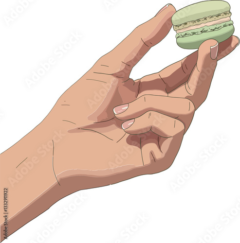 A hand delicately holding a green macaron in a minimal vector illustration style