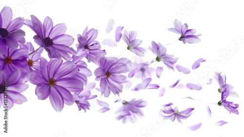 Fototapeta Naklejka Na Ścianę i Meble -  Flying purple flower isolated on white background