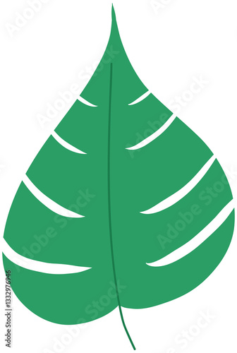 green leaf isolated on white