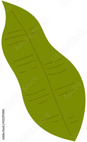 green leaf isolated on white